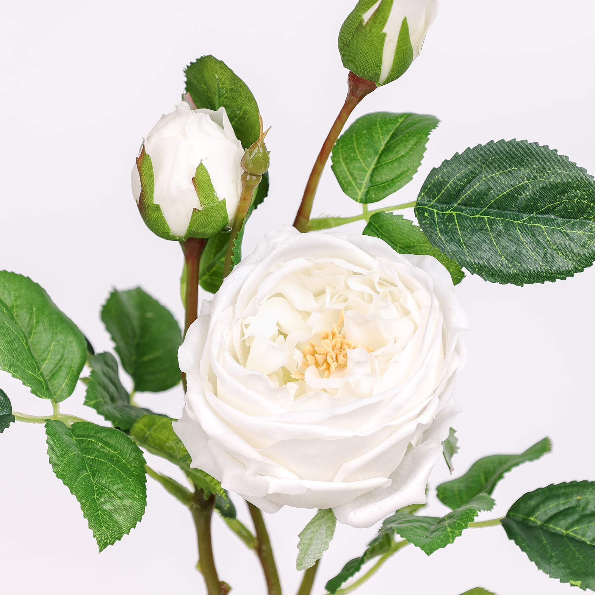 71cm Real-Touch 3 Heads Austin Rose Spray