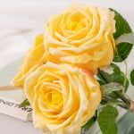 30cm Real-Touch 3 Heads Barbara Rose Bundle
