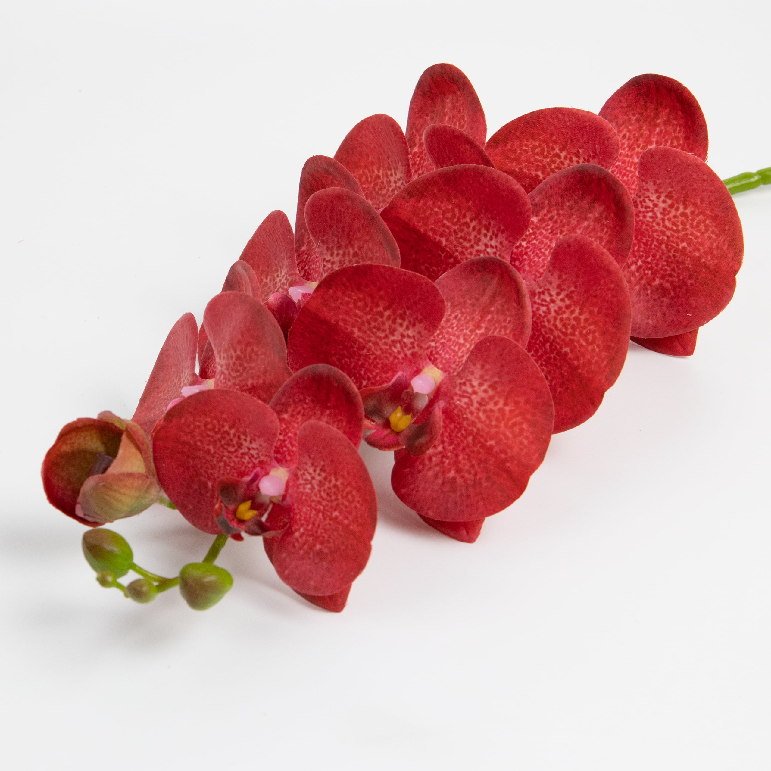 98cm Real-Touch Phalaenopsis Stem