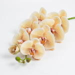 98cm Real-Touch Phalaenopsis Stem