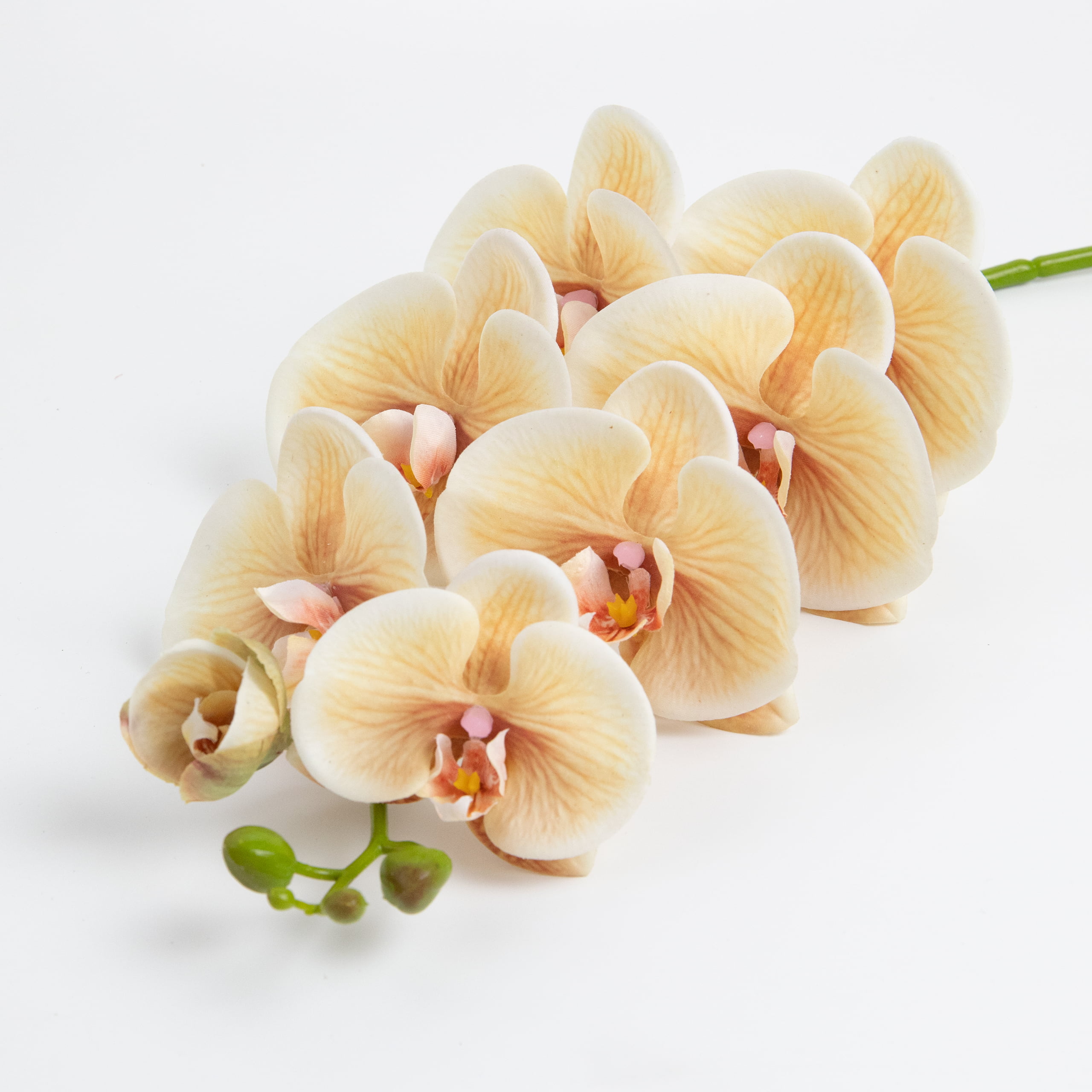 98cm Real-Touch Phalaenopsis Stem