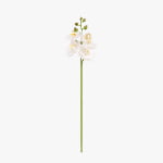 50cm Real-Touch Phalaenopsis Stem