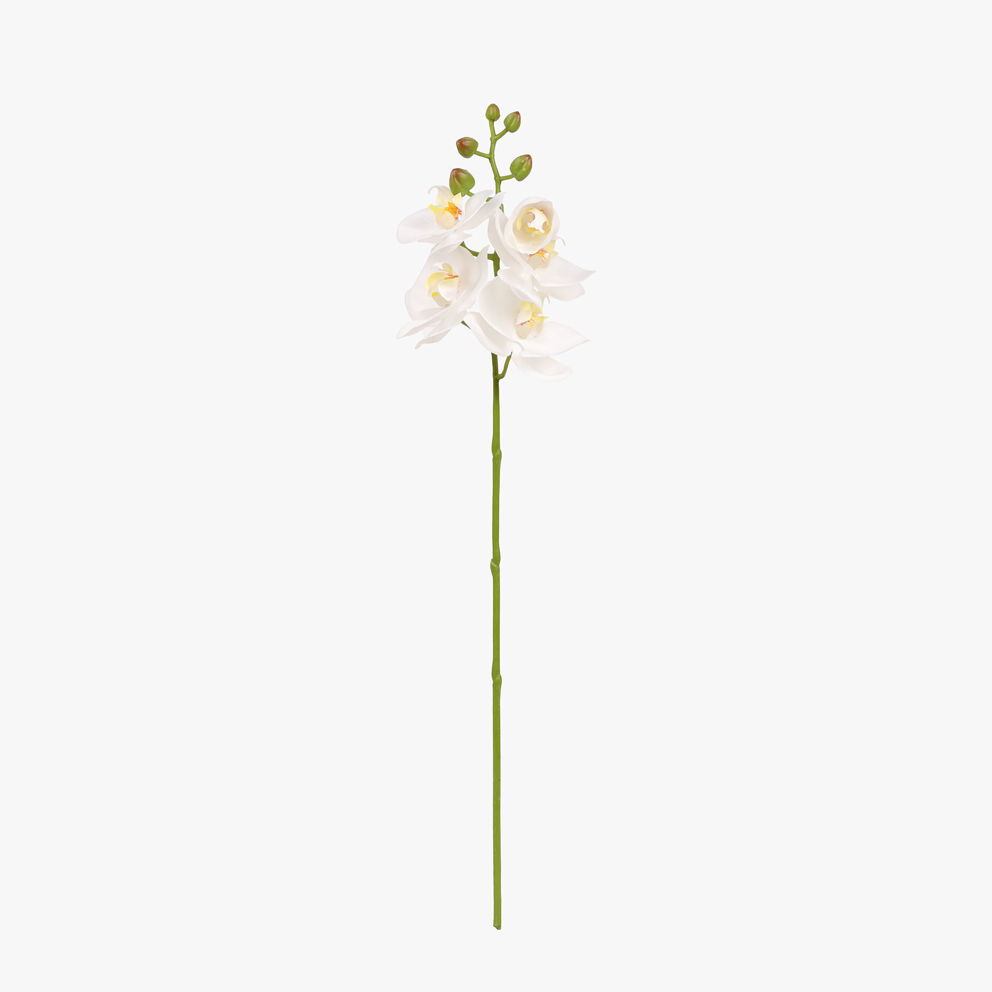50cm Real-Touch Phalaenopsis Stem