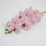 98cm Real-Touch Phalaenopsis Stem