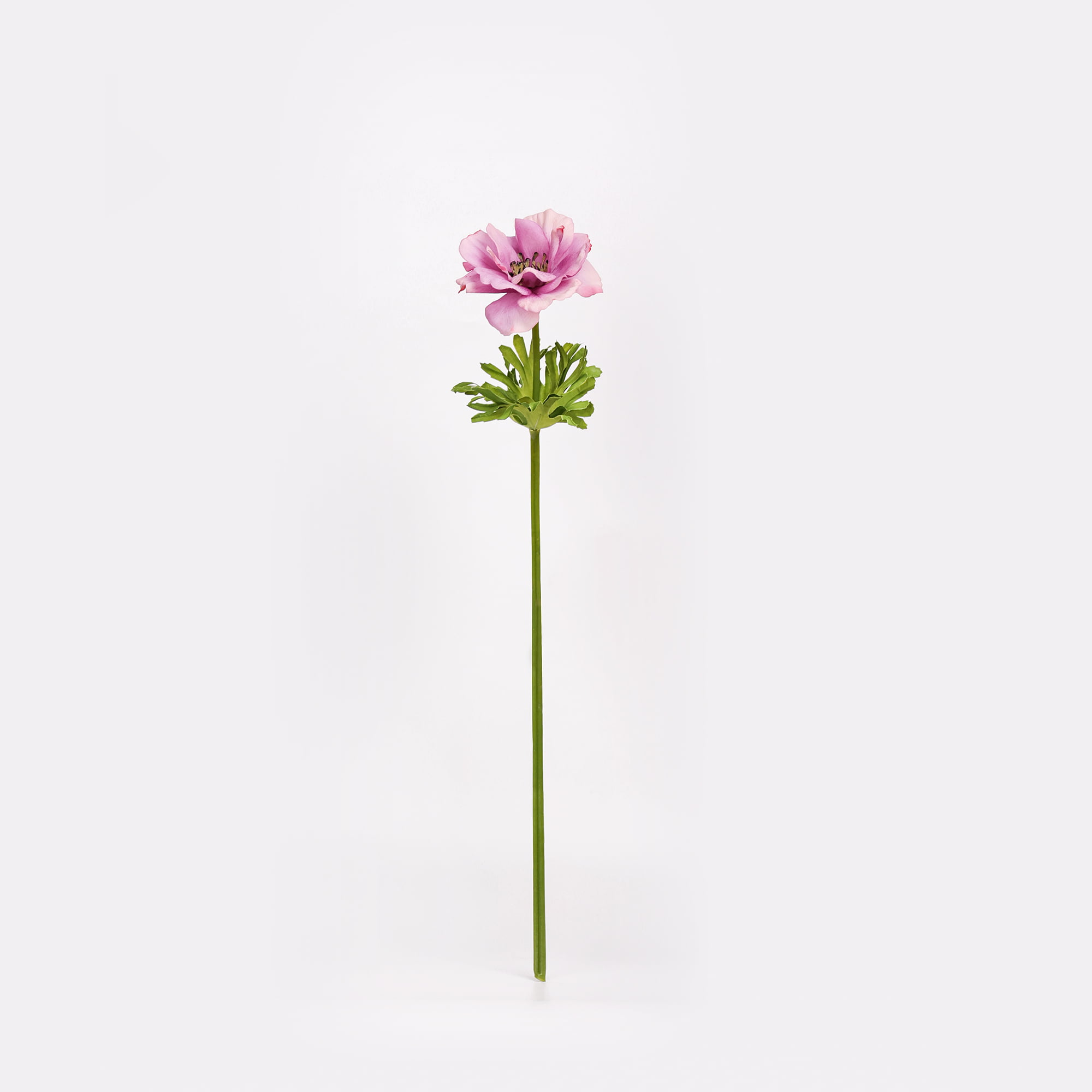 52cm Real-Touch Anemone Stem