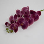 98cm Real-Touch Phalaenopsis Stem
