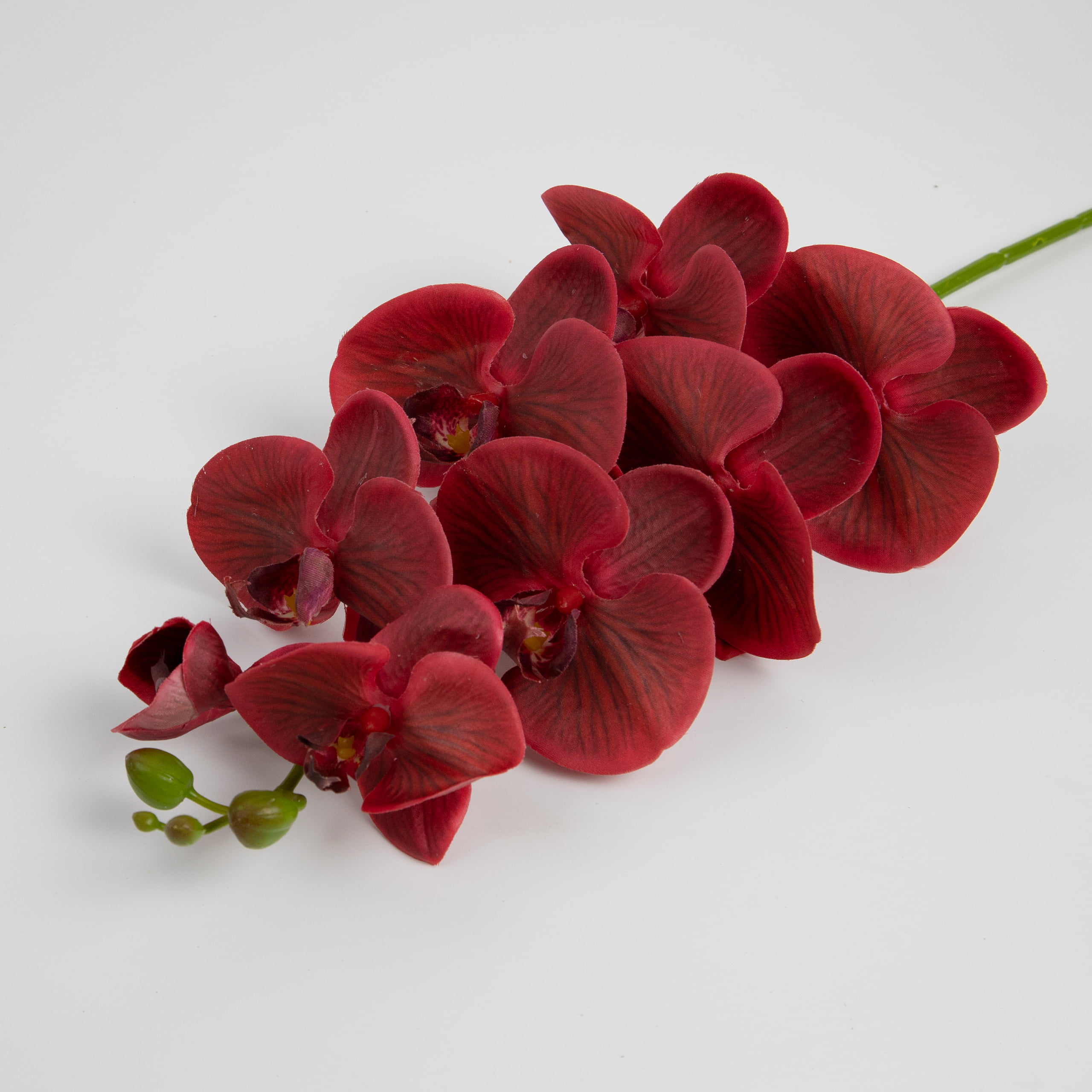 98cm Real-Touch Phalaenopsis Stem