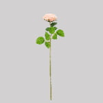 60cm Real-Touch Darlene Rose Stem