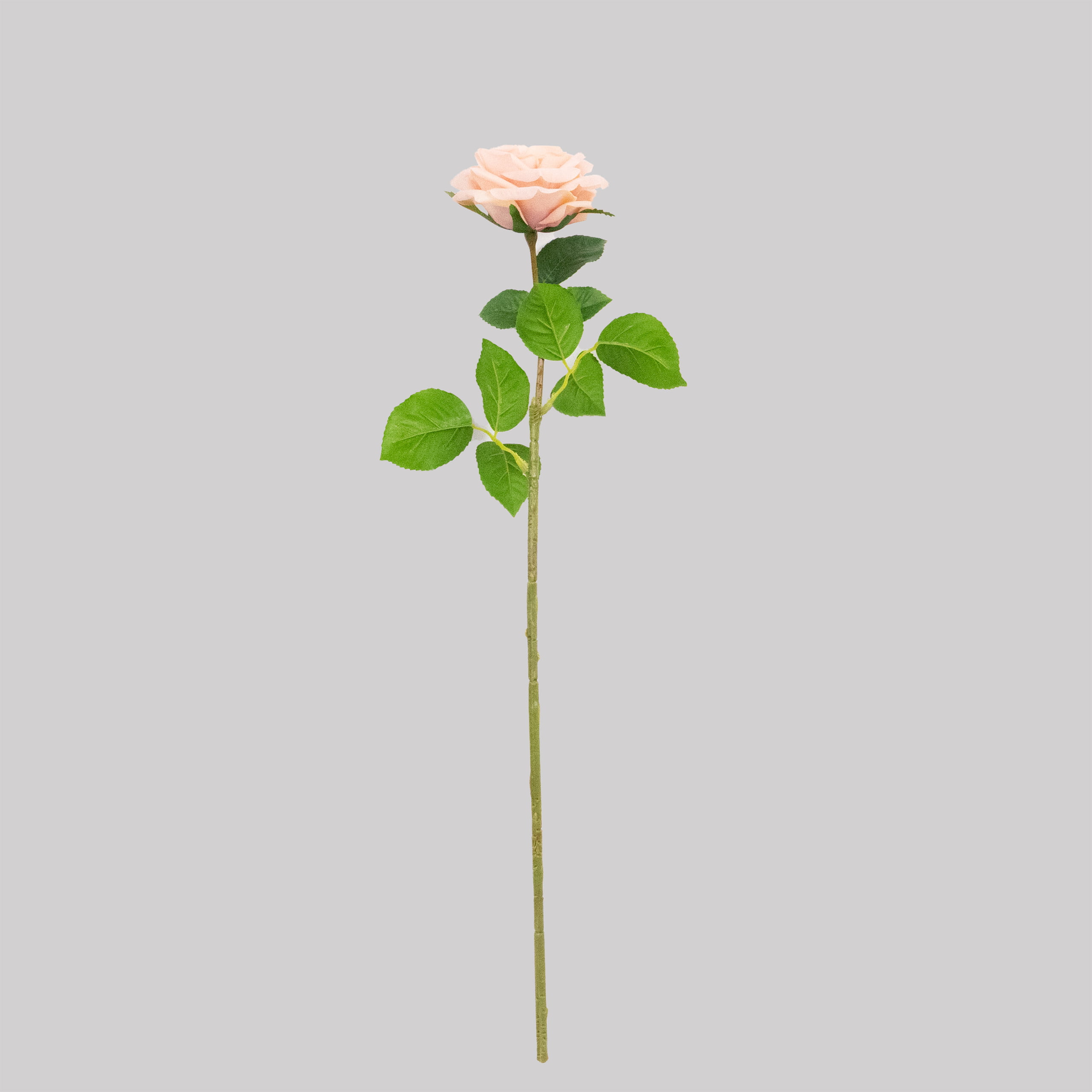 60cm Real-Touch Darlene Rose Stem