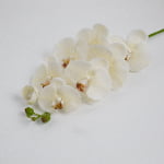 98cm Real-Touch Phalaenopsis Stem