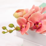 50cm Real-Touch Phalaenopsis Stem
