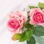 80cm Real-Touch 3 Heads Denise Rose Spray