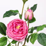 71cm Real-Touch 3 Heads Austin Rose Spray