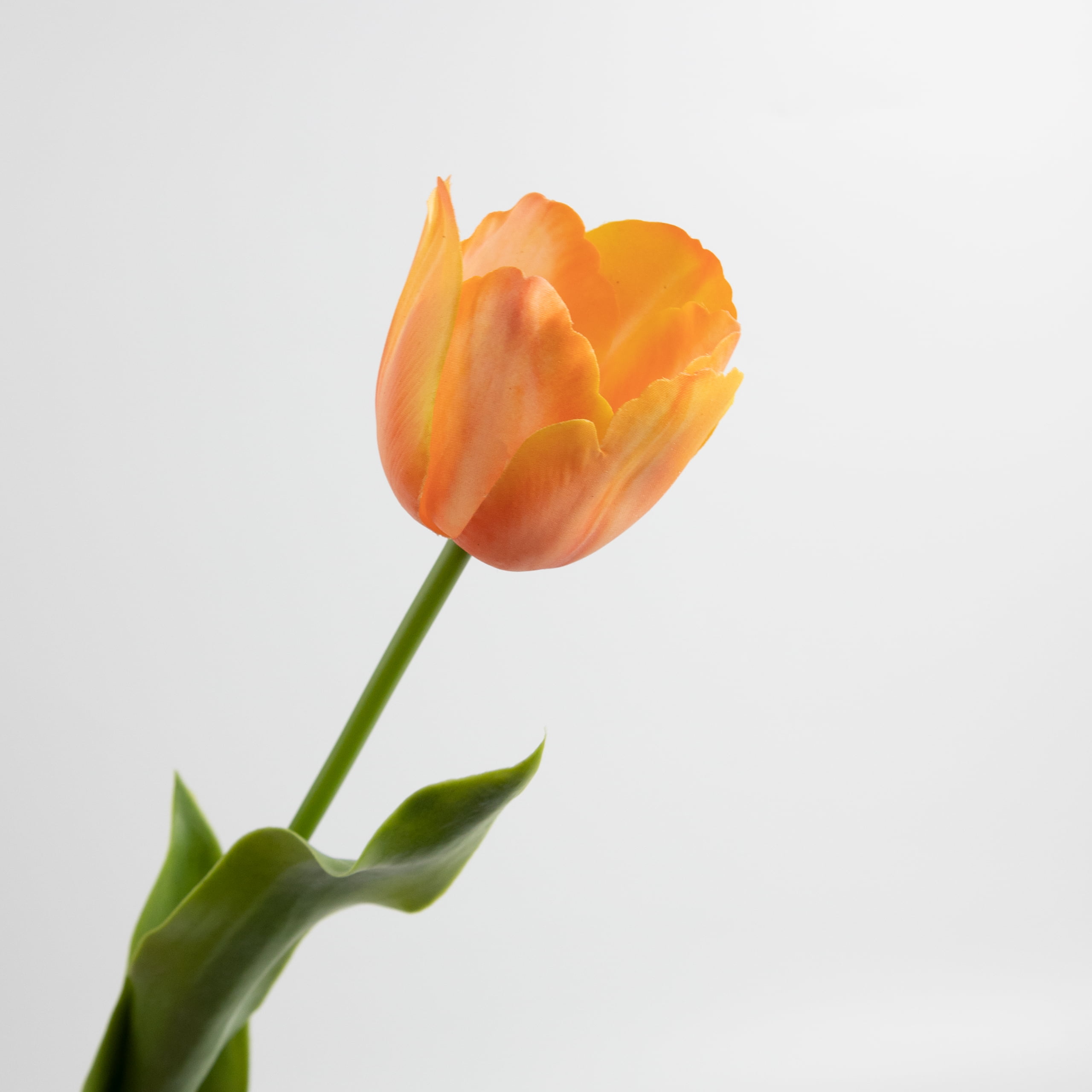 70cm Real-Touch Tulip Stem