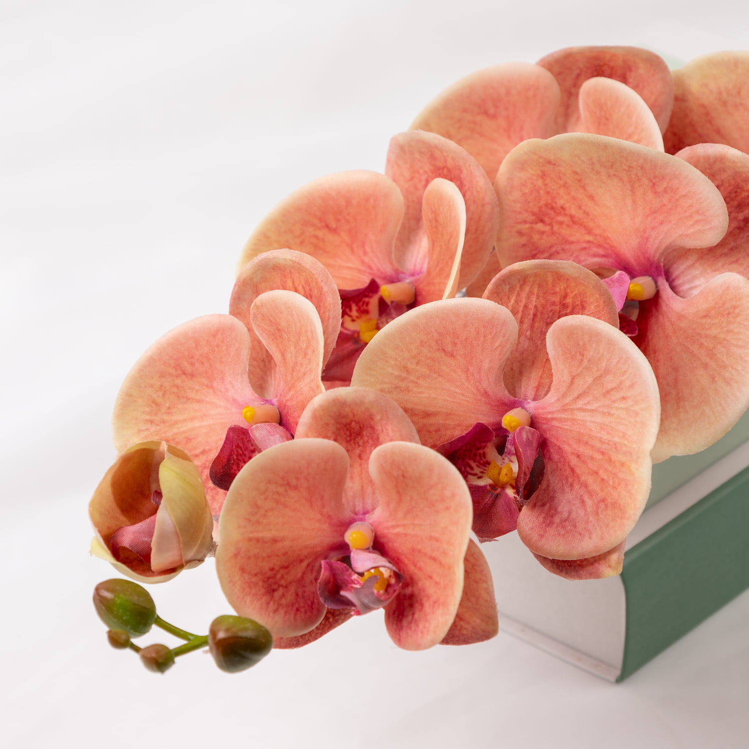 98cm Real-Touch Phalaenopsis Stem