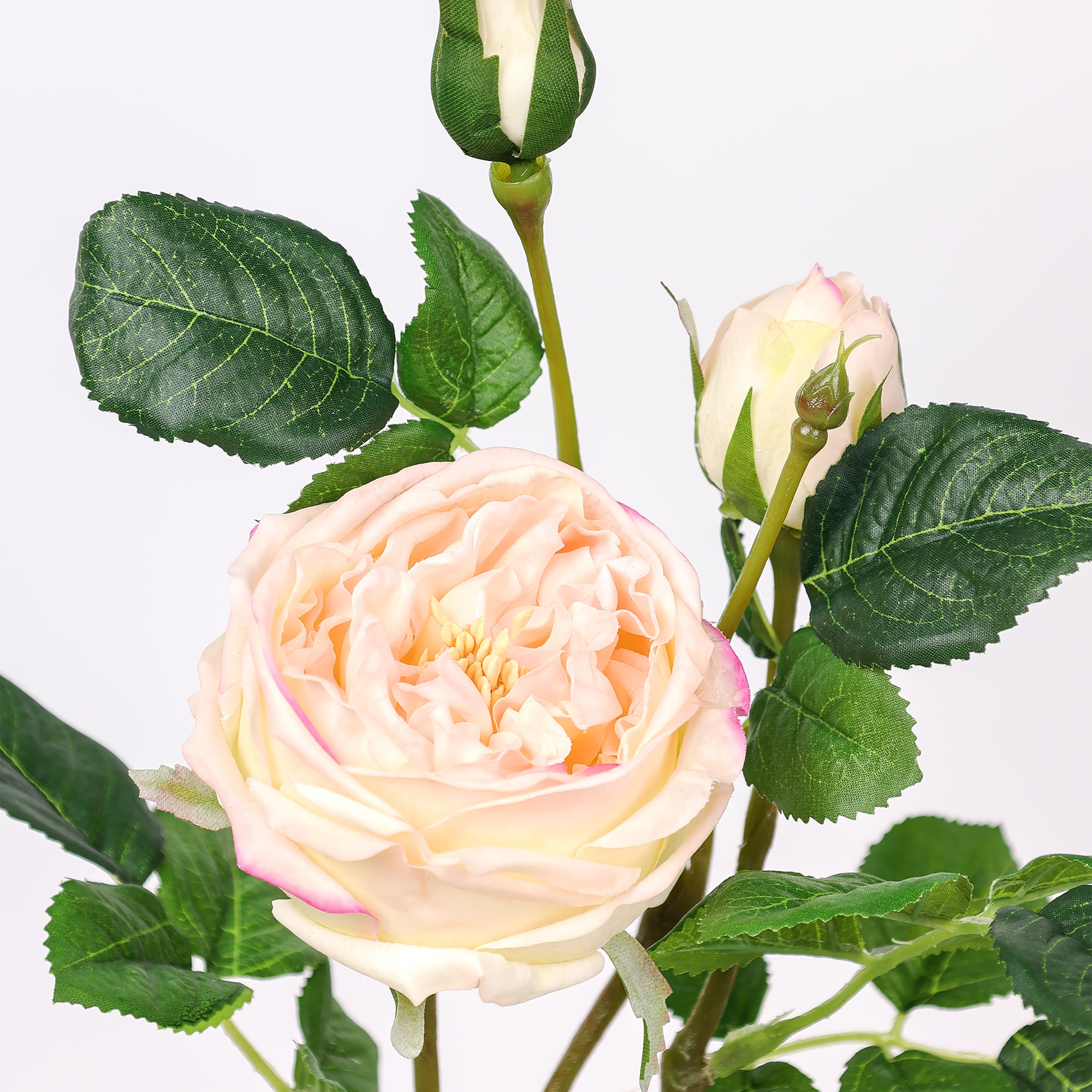 71cm Real-Touch 3 Heads Austin Rose Spray
