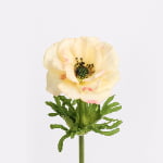 52cm Real-Touch Anemone Stem