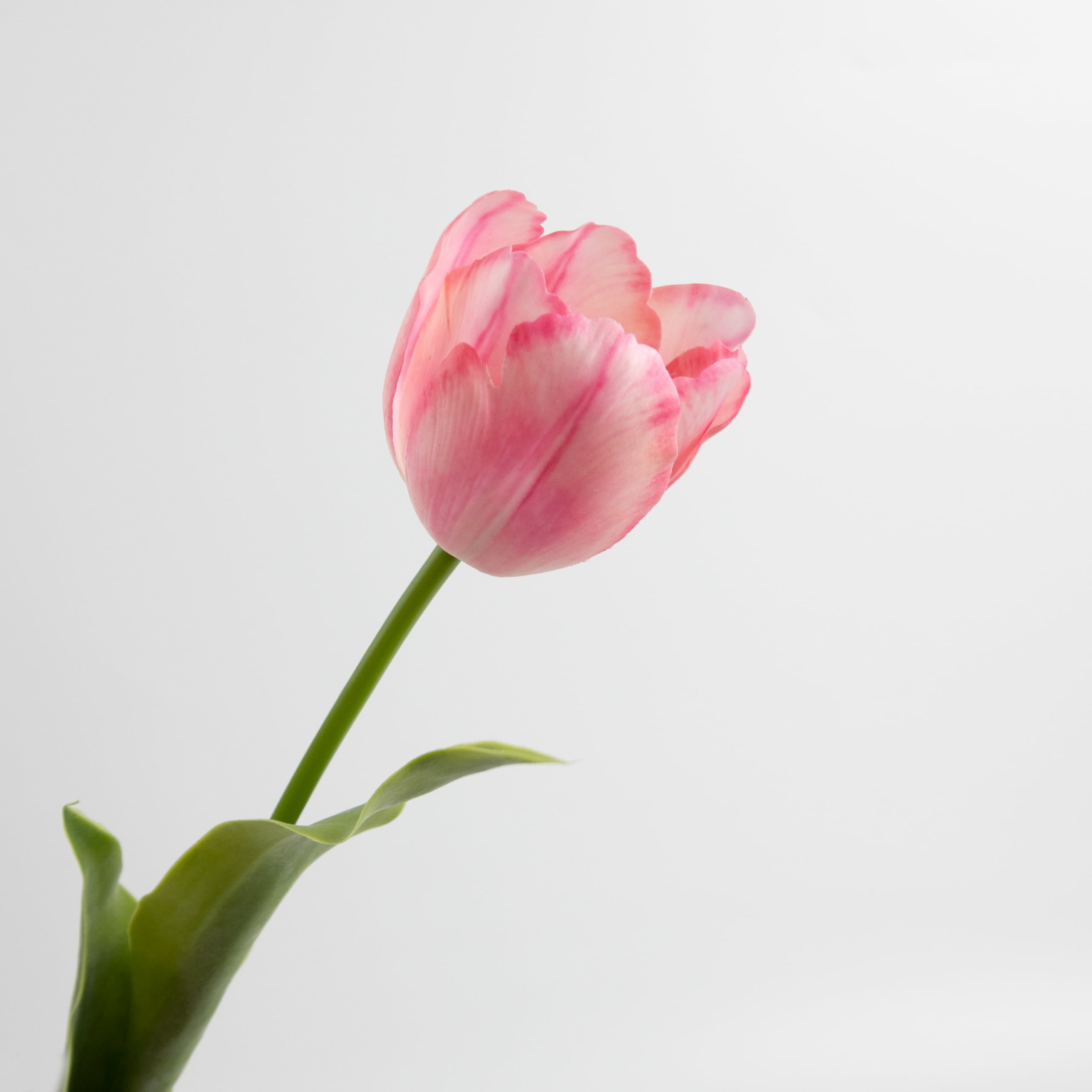 70cm Real-Touch Tulip Stem