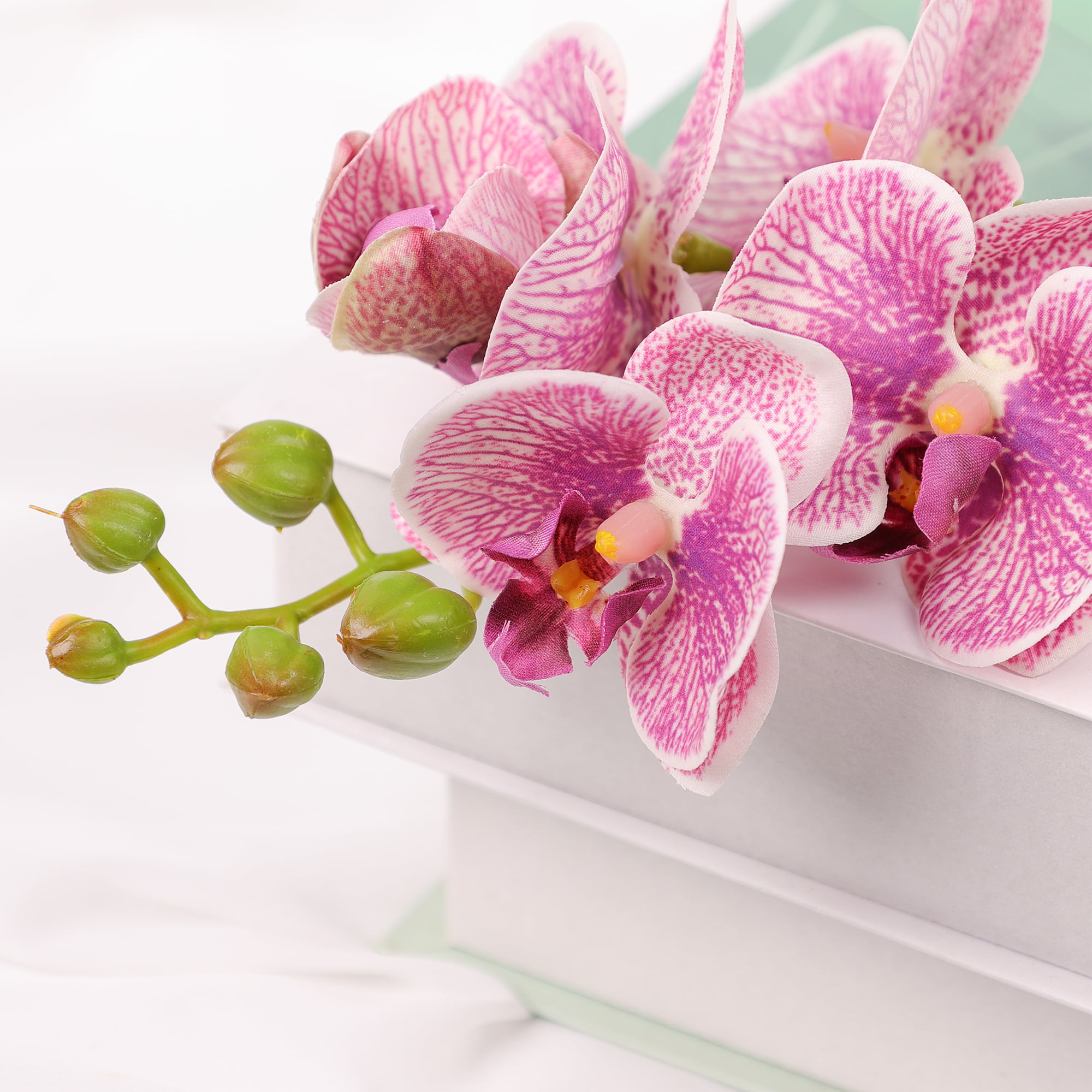 50cm Real-Touch Phalaenopsis Stem