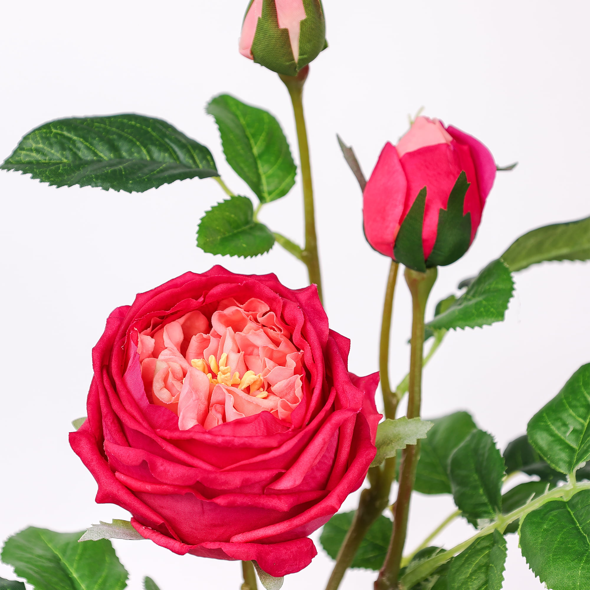 71cm Real-Touch 3 Heads Austin Rose Spray