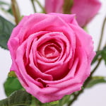 80cm Real-Touch 3 Heads Victoria Rose Spray