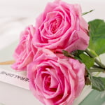 30cm Real-Touch 3 Heads Barbara Rose Bundle