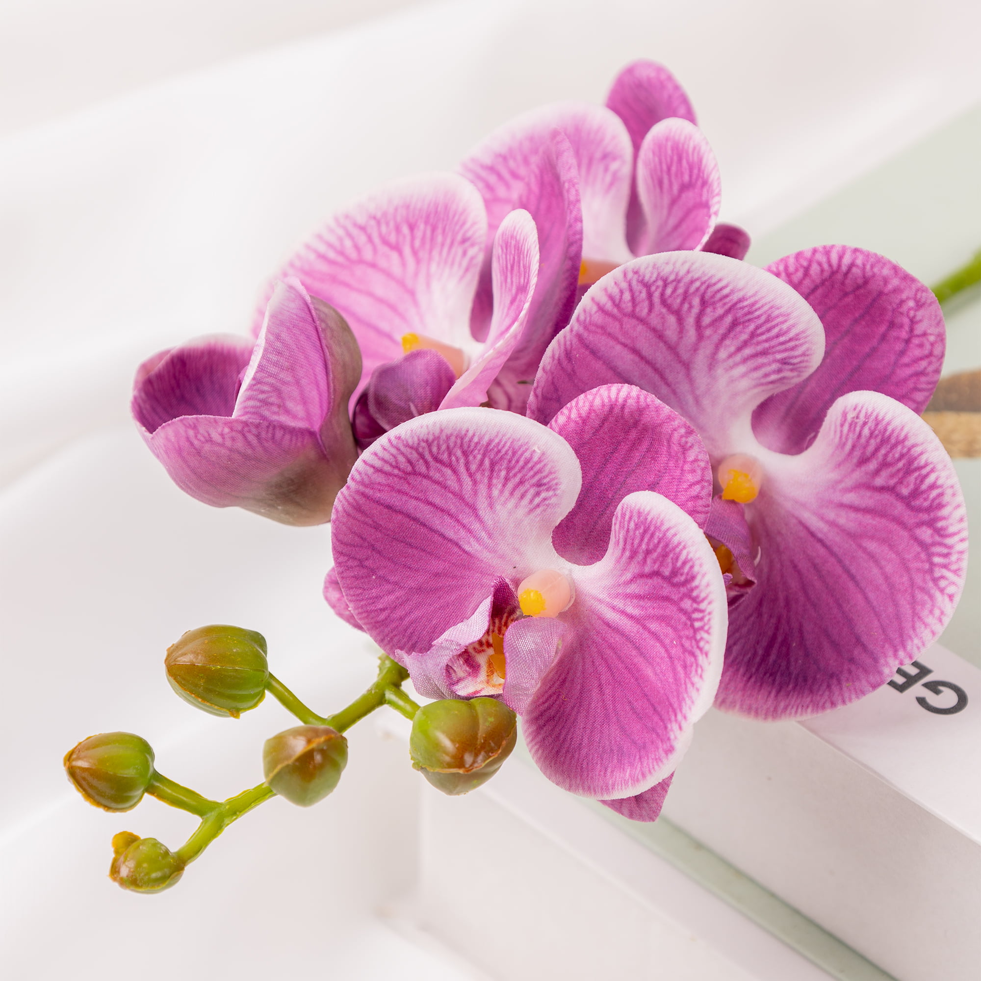 50cm Real-Touch Phalaenopsis Stem