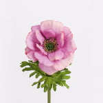52cm Real-Touch Anemone Stem