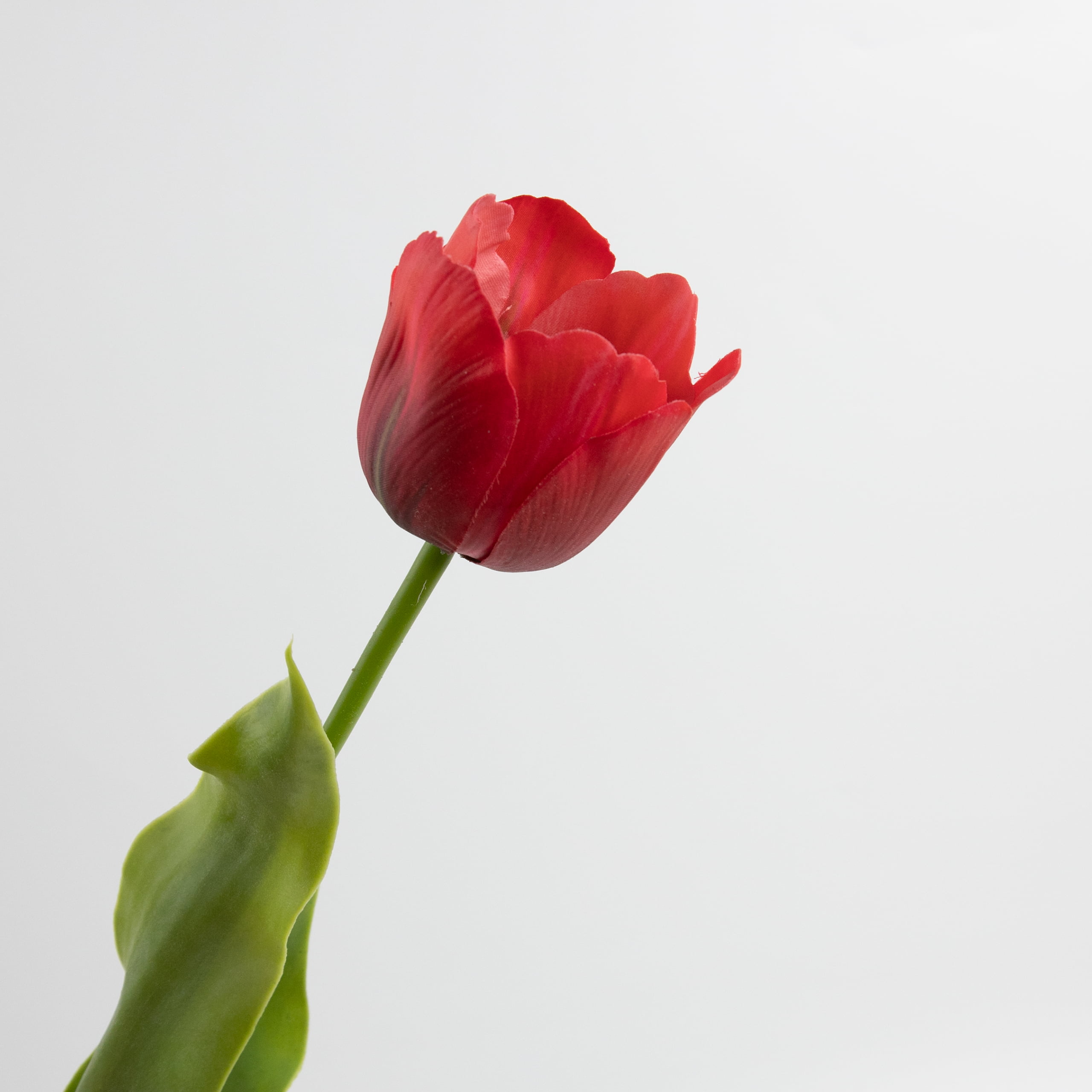 70cm Real-Touch Tulip Stem