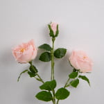 51cm Real-Touch 3 Heads Mini Austin Rose Spray