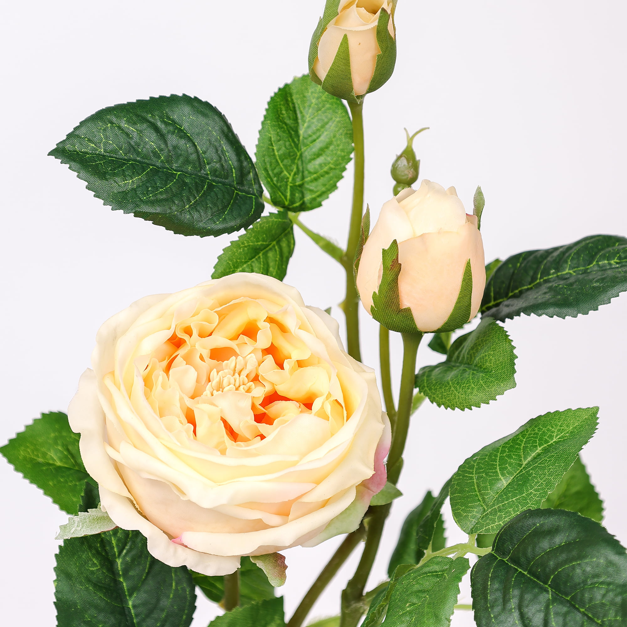 71cm Real-Touch 3 Heads Austin Rose Spray