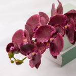 98cm Real-Touch Phalaenopsis Stem