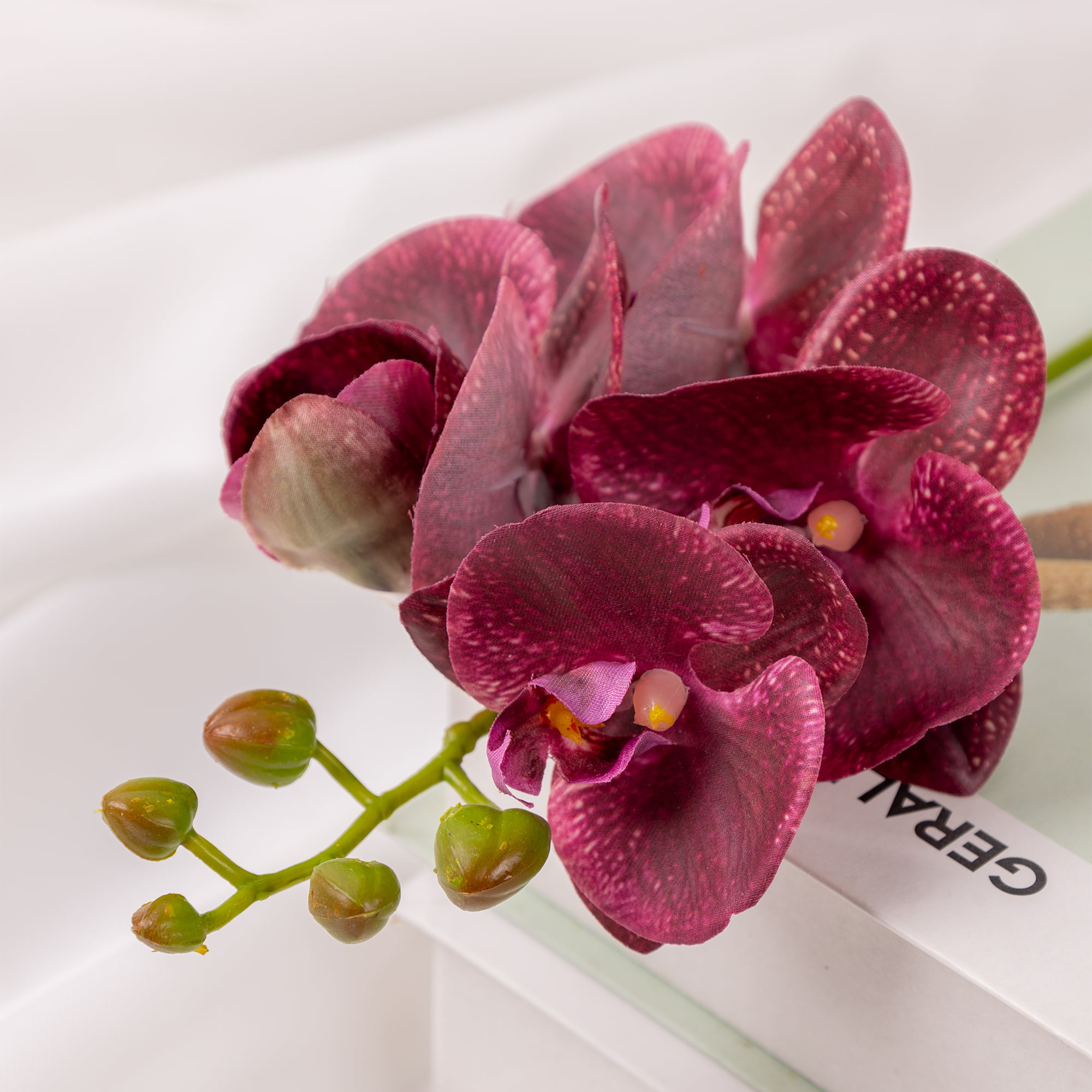50cm Real-Touch Phalaenopsis Stem