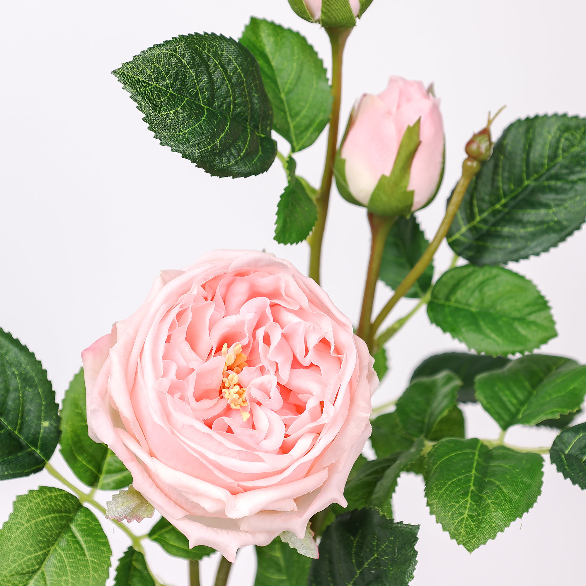 71cm Real-Touch 3 Heads Austin Rose Spray