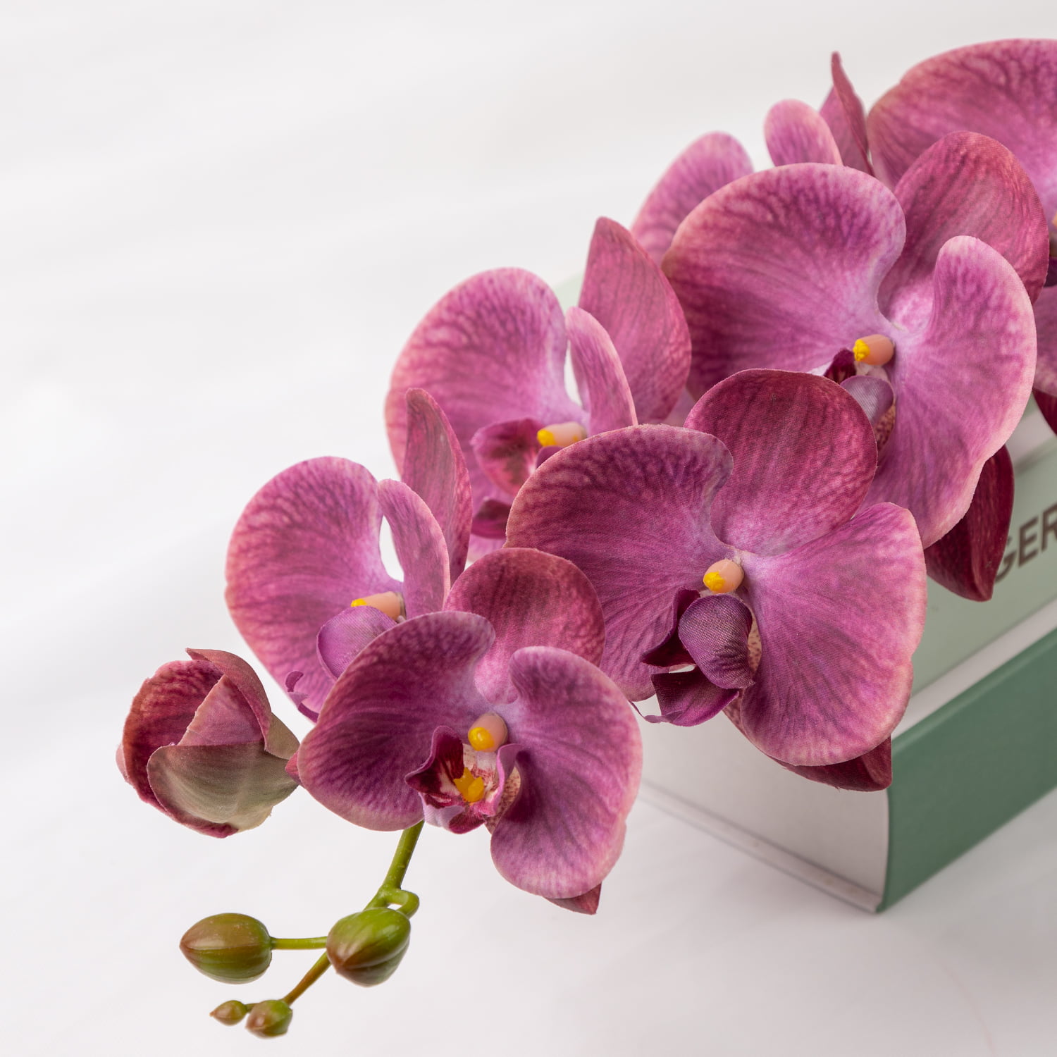98cm Real-Touch Phalaenopsis Stem