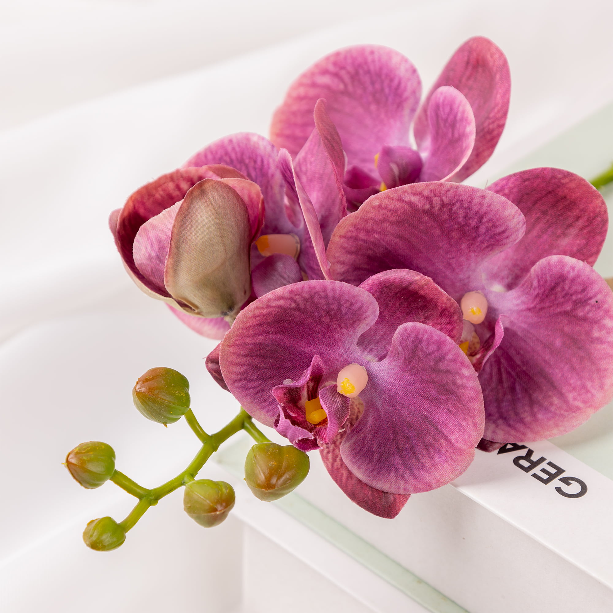 50cm Real-Touch Phalaenopsis Stem