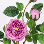 71cm Real-Touch 3 Heads Austin Rose Spray