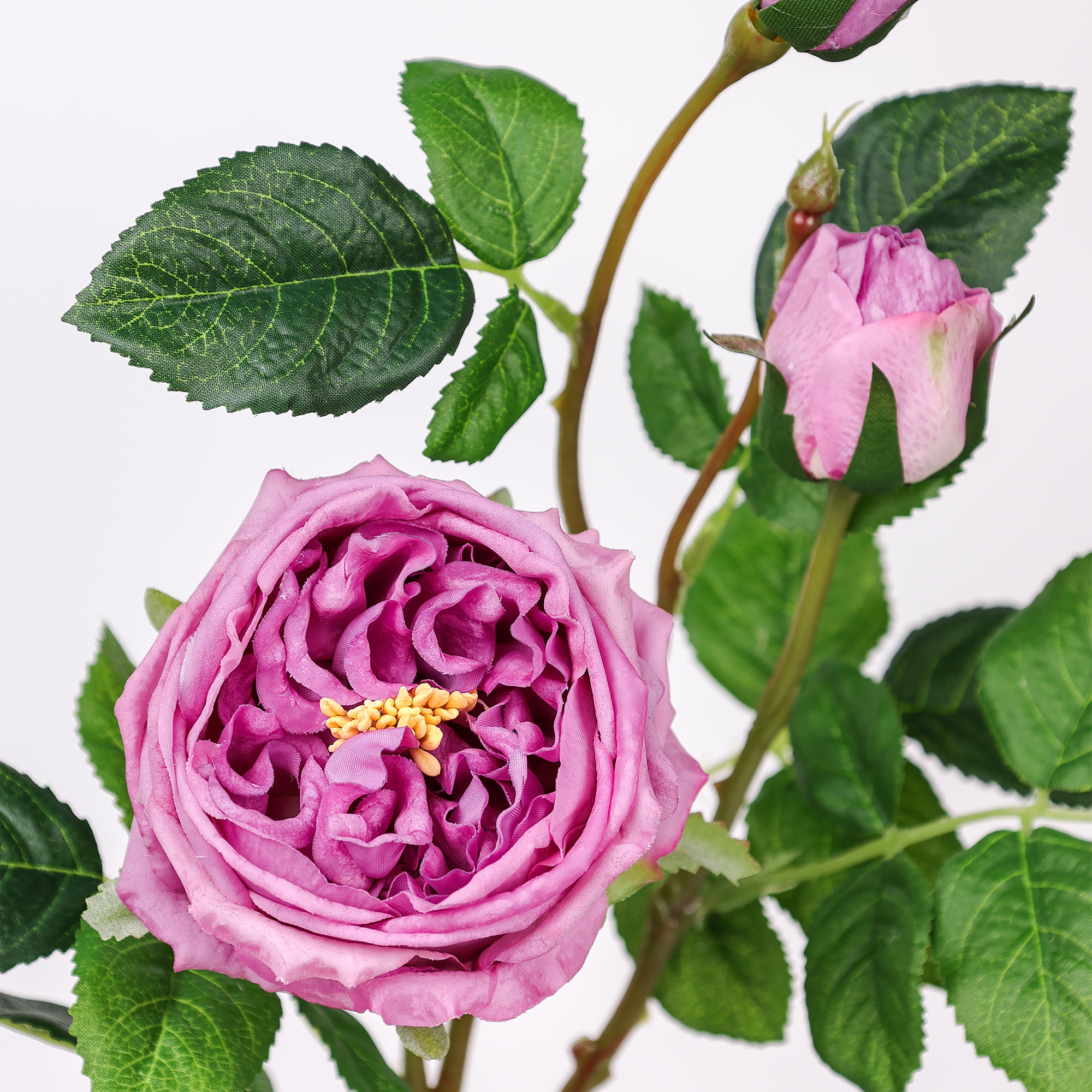 71cm Real-Touch 3 Heads Austin Rose Spray