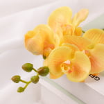 50cm Real-Touch Phalaenopsis Stem