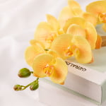 76cm Real-Touch Phalaenopsis Stem