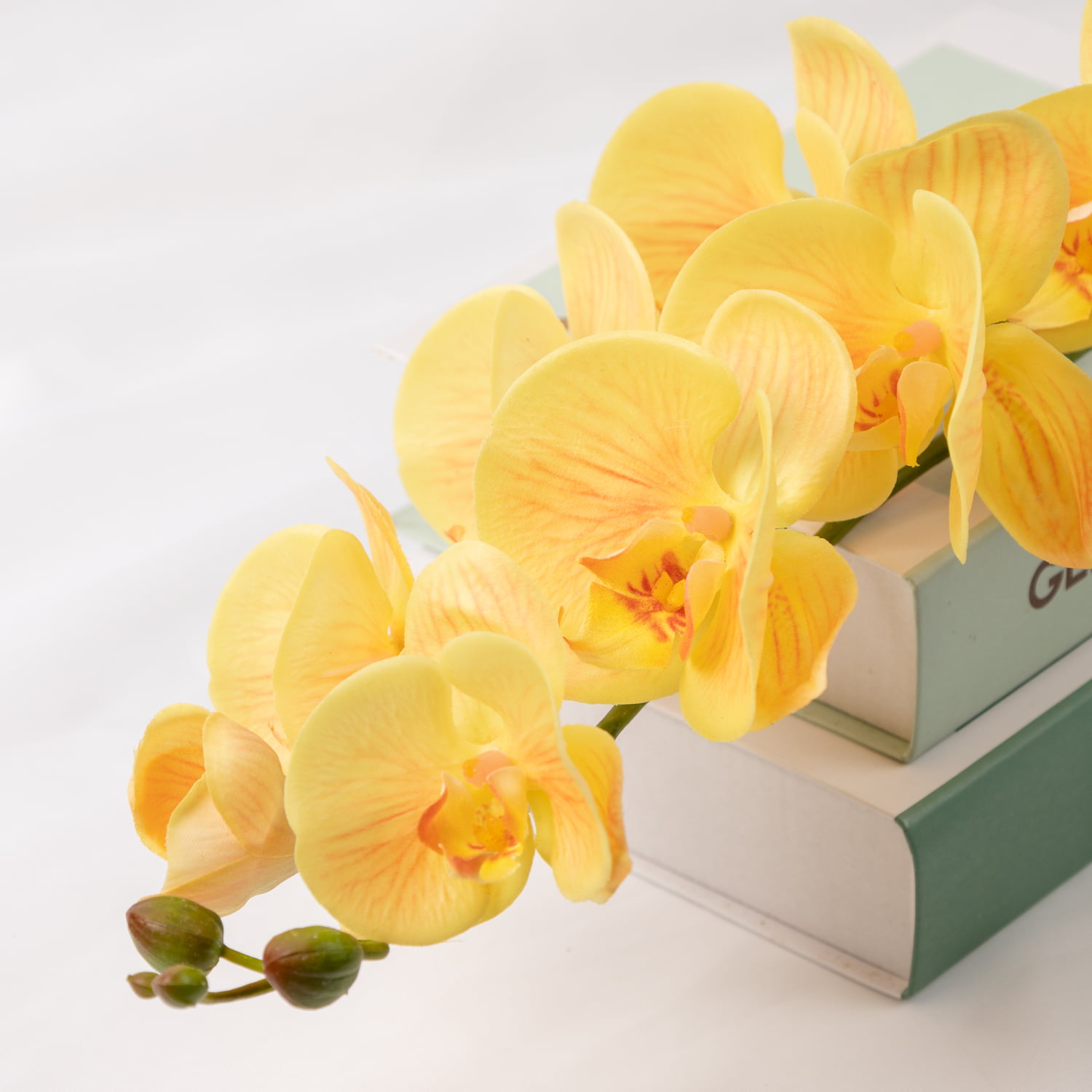 98cm Real-Touch Phalaenopsis Stem