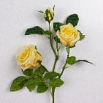 80cm Real-Touch 3 Heads Victoria Rose Spray