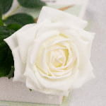 60cm Real-Touch Darlene Rose Stem
