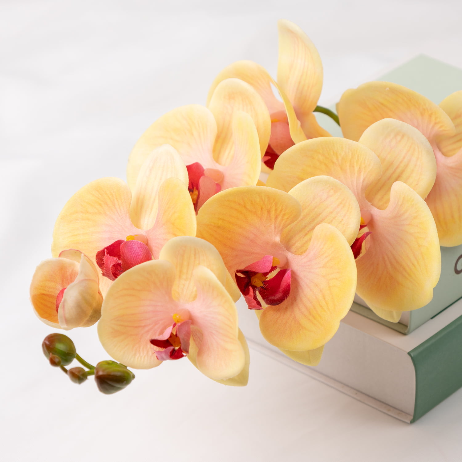 98cm Real-Touch Phalaenopsis Stem