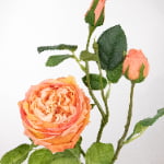 71cm Real-Touch 3 Heads Austin Rose Spray