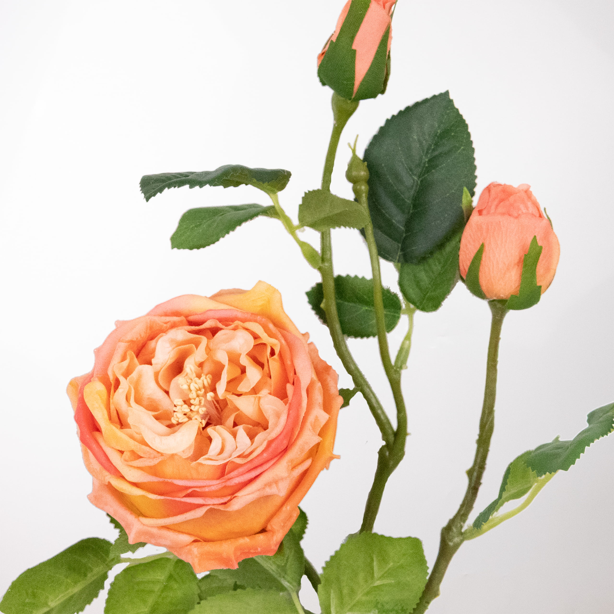 71cm Real-Touch 3 Heads Austin Rose Spray