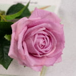 60cm Real-Touch Darlene Rose Stem