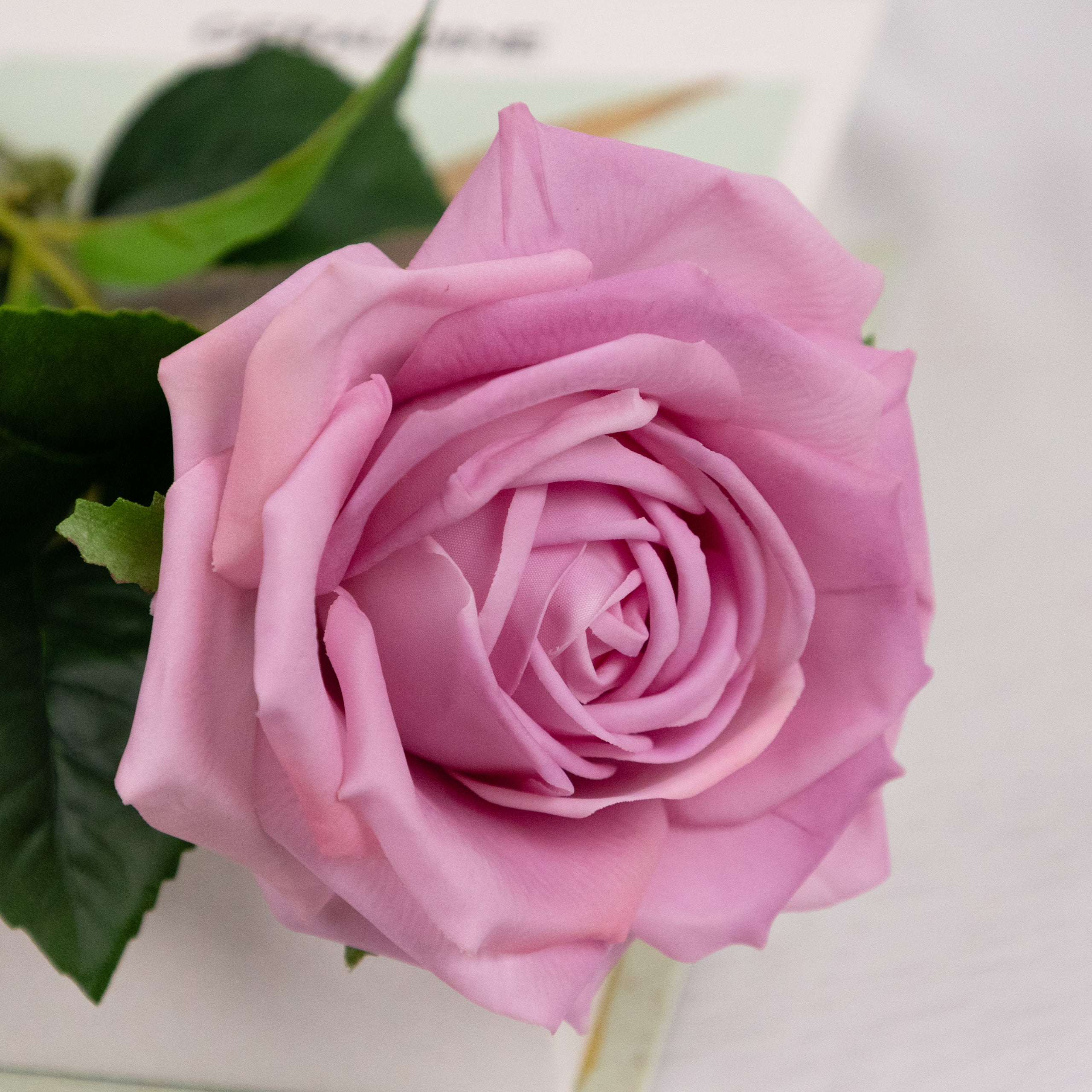60cm Real-Touch Darlene Rose Stem