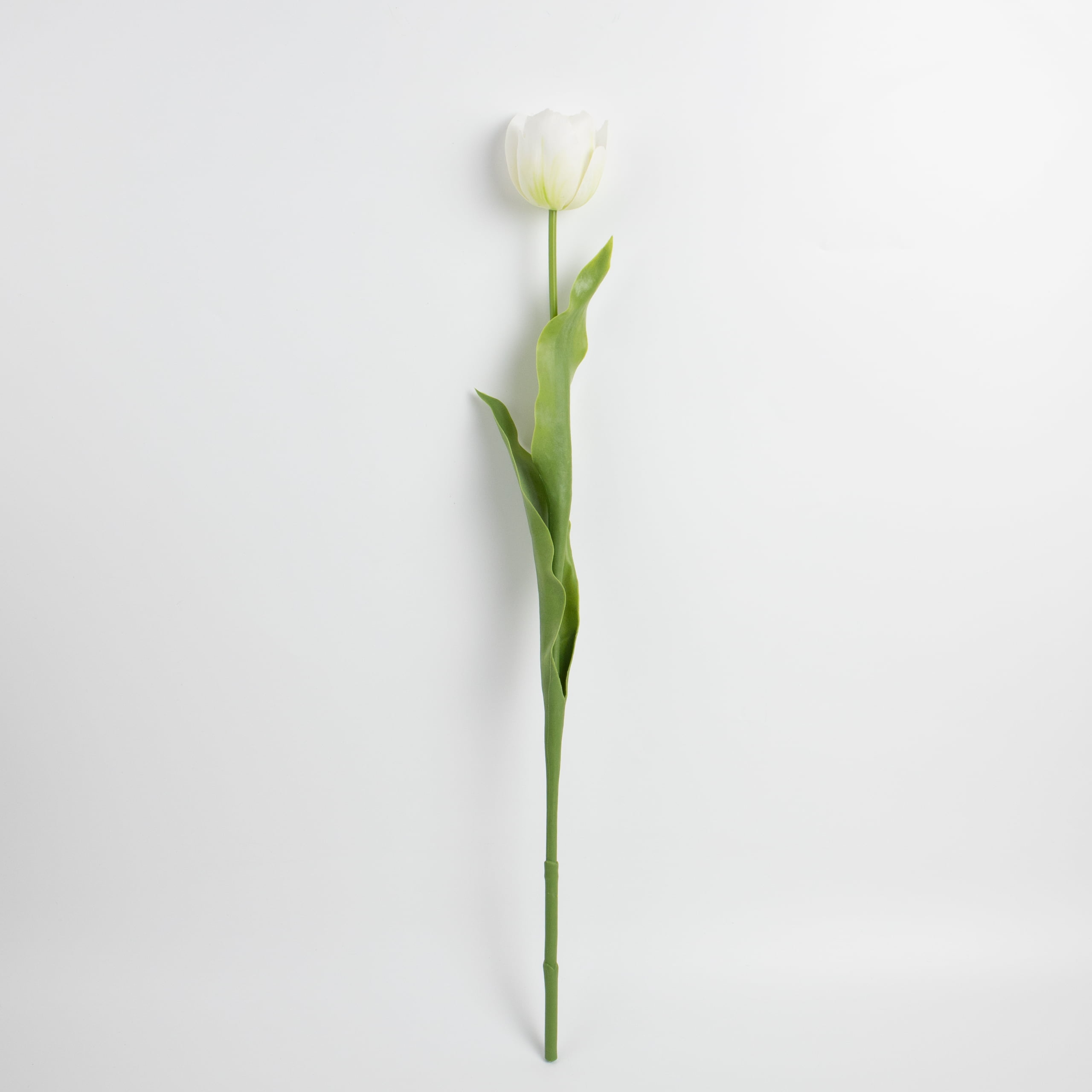 70cm Real-Touch Tulip Stem