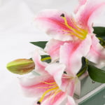 82cm Real-Touch 3 Heads Lily Spray